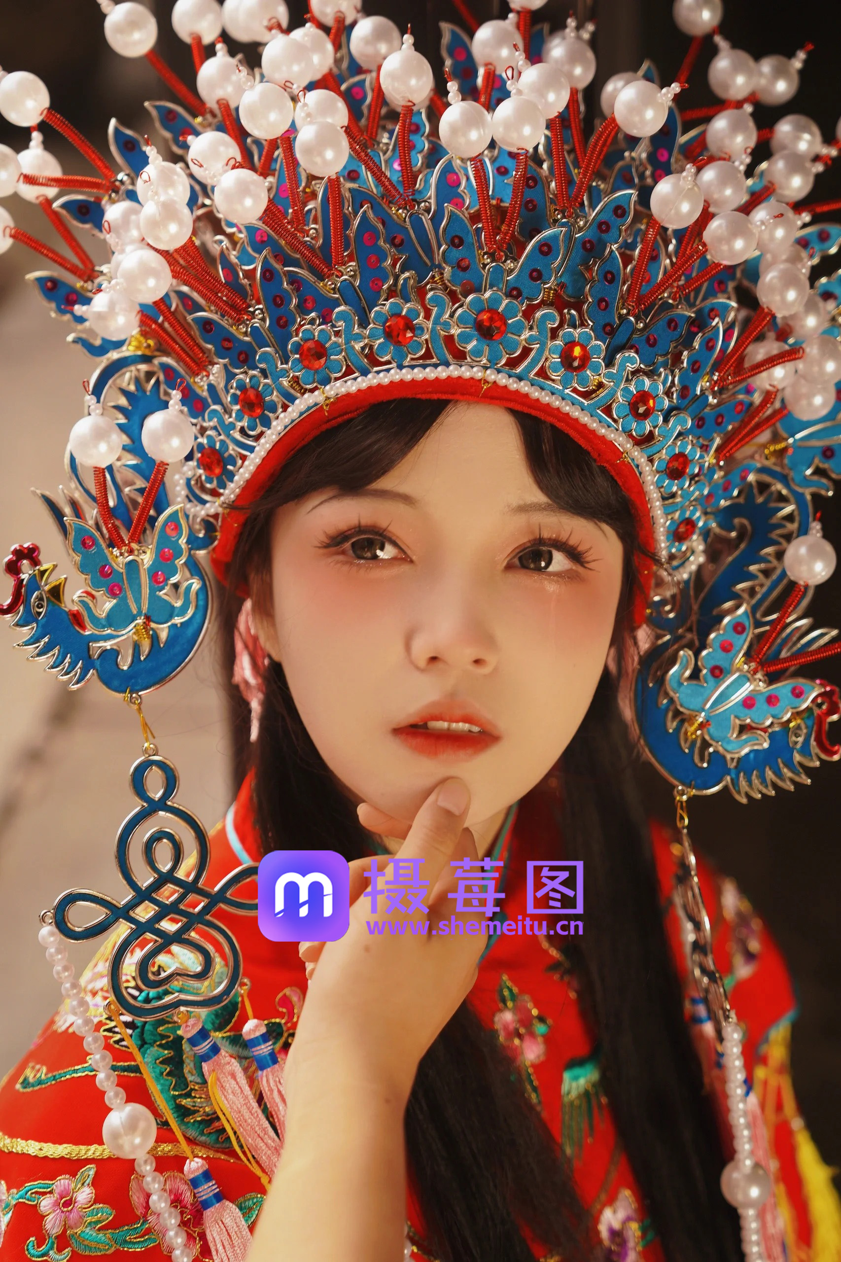 摄莓图 - 你的私人壁纸